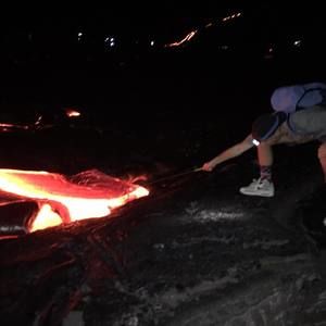 Meet your Posher, Taylor